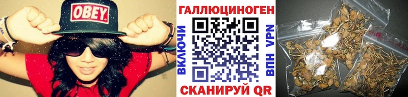 kraken маркетплейс Мезень Галлюциногенные грибы Psilocybine cubensis закладки