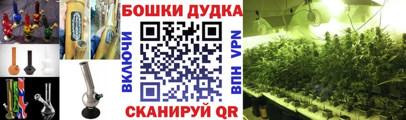 OMG зеркало  Мезень  Канабис сатива 